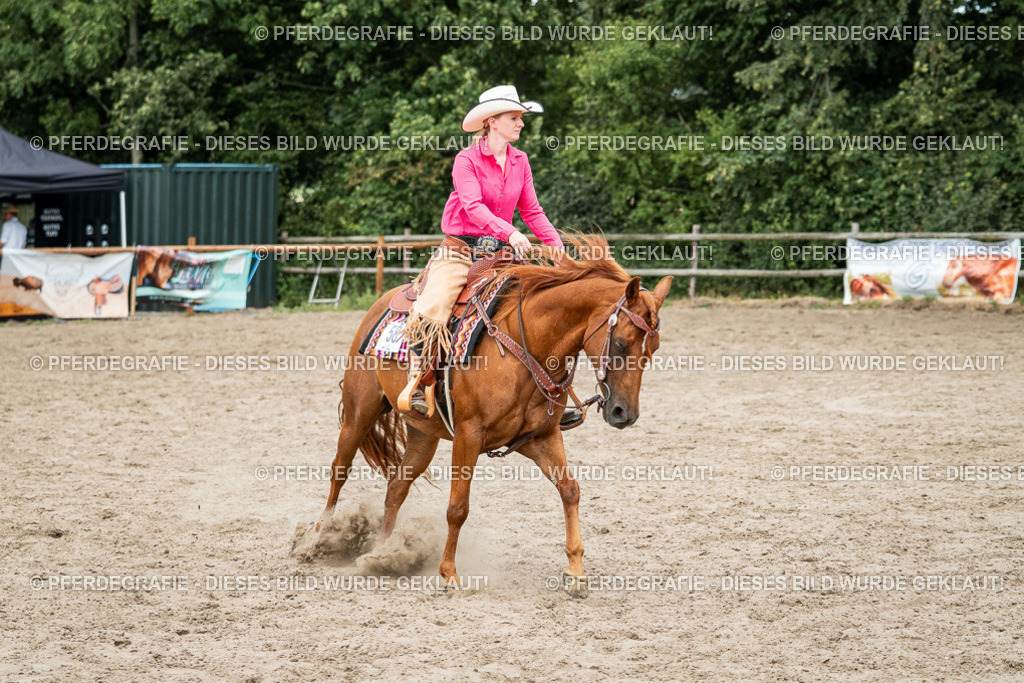 DSC02141 | Pferdegrafie