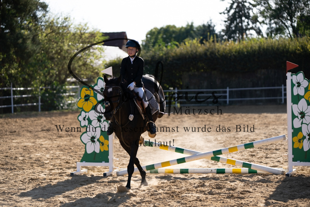 A7V02683 | Pferdefotograf