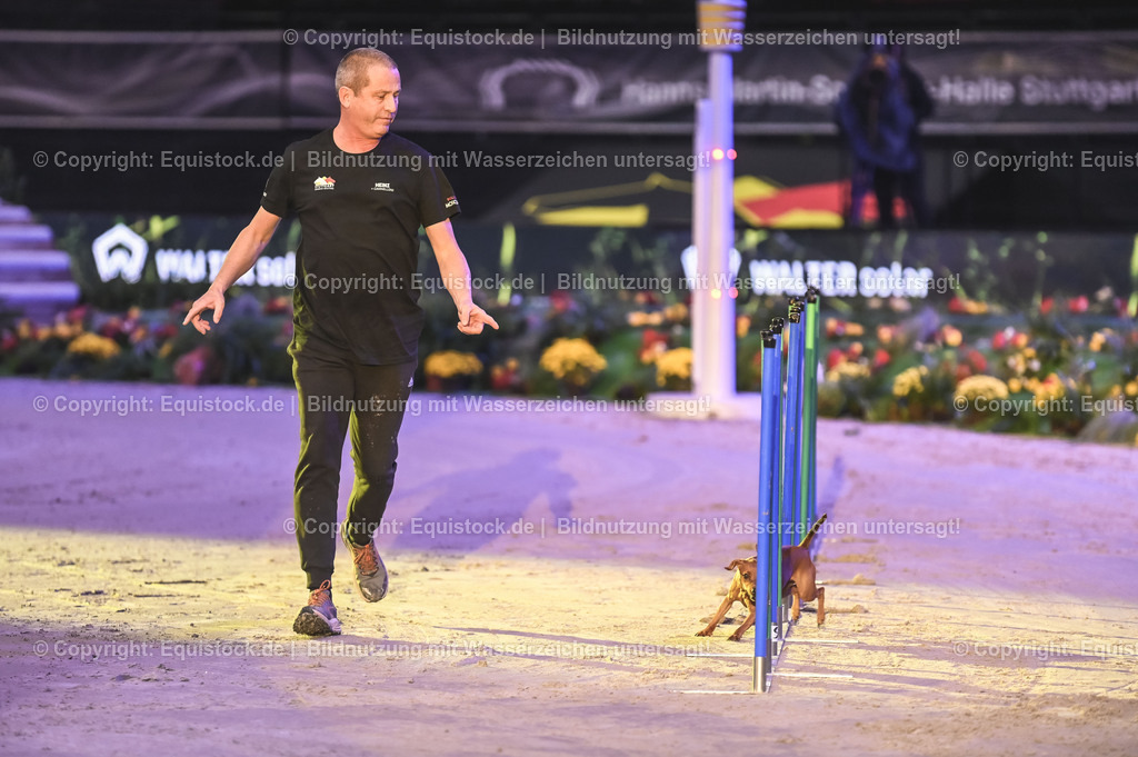 20231115_Dog-Agility_0045_TOMsPiC | Foto: Thomas Hartig