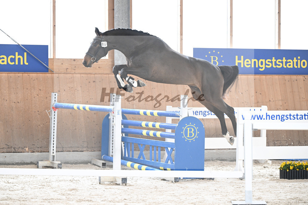 Kat-Nr. 13 Courchevel B v. Cizero Z_Bachl_5251344 | hf-fotografie - Realisiert mit Pictrs.com