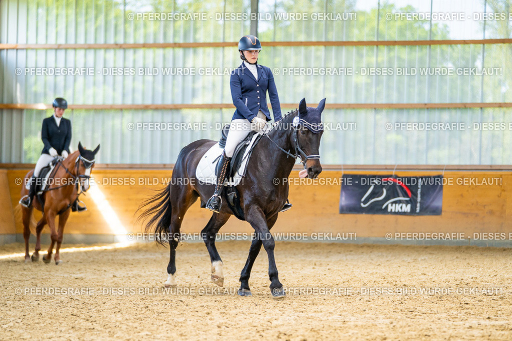 DSC08492 | Pferdegrafie