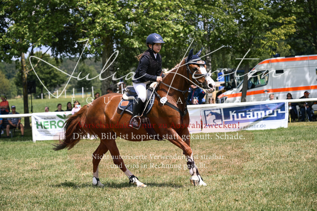 DSC_9216 | Pferde- und Turnierfotografie in Westsachsen. Pferdeportraits, Auftragszeichnungen und intuitive Kunst.