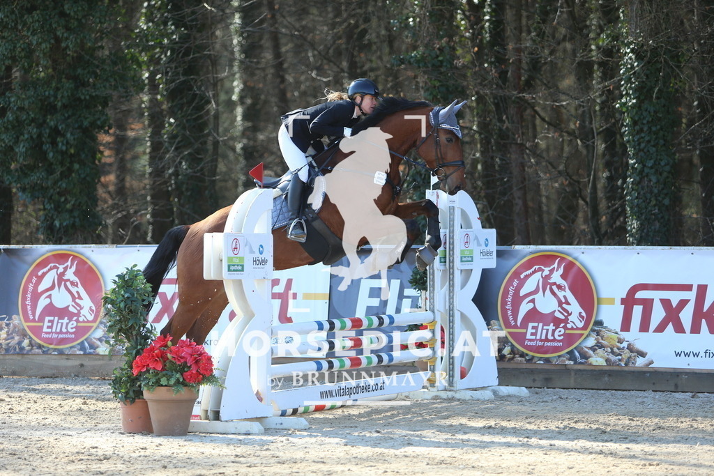 DL2Q2451 | Willkommen bei Brunnmayr - Design & Fotografie – Ihrem Spezialisten für Reitturniere und Pferdeveranstaltungen in Oberösterreich, Salzburg und Bayern! Seit über 17 Jahren sind wir leidenschaftlich dabei.