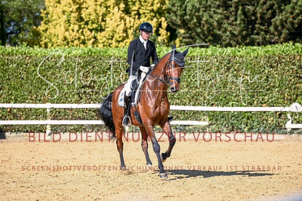 Schugtsche-Aluta25-50.Dressurpferdeprf.L-262 | Schugtsche Fotografie - Realisiert mit Pictrs.com