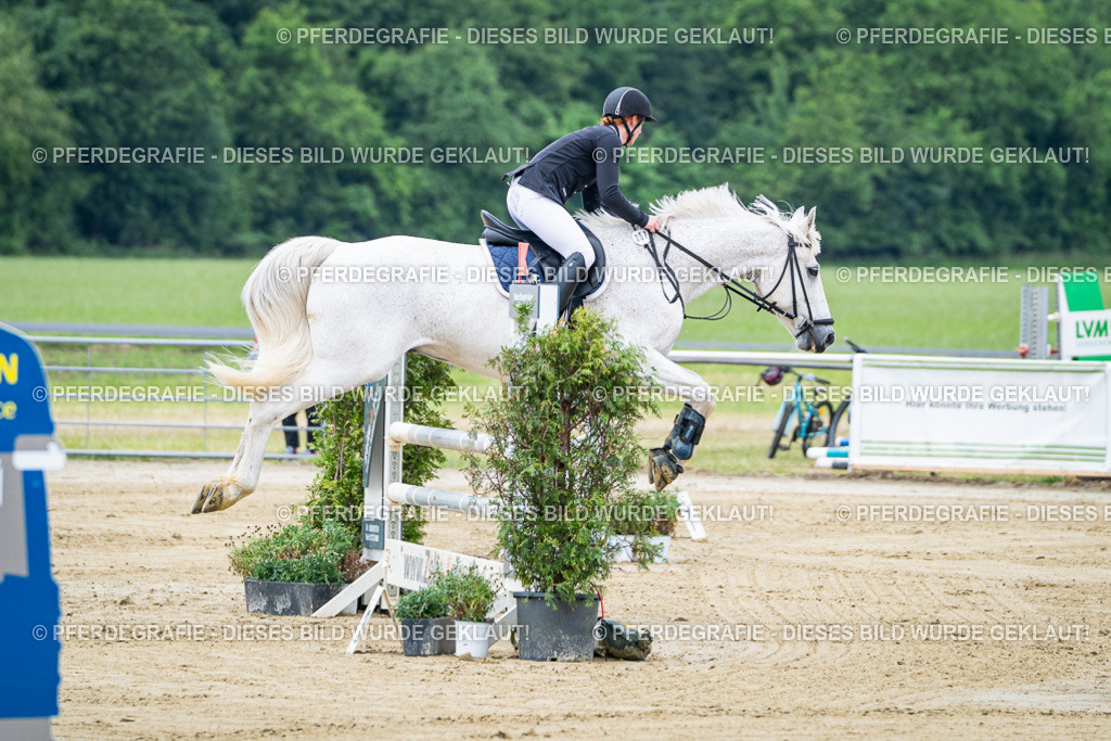 DSC03565 | Pferdegrafie