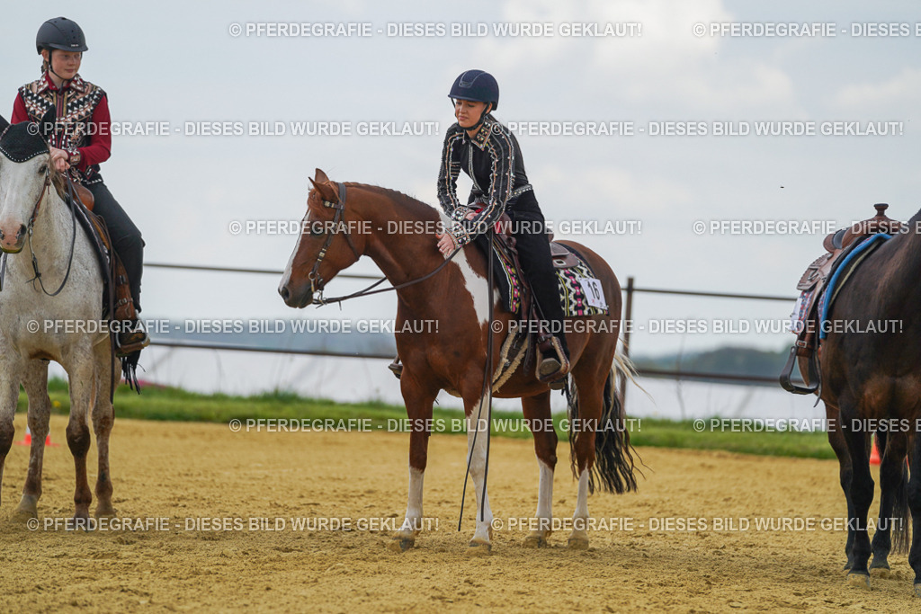 DSC06367 | Pferdegrafie