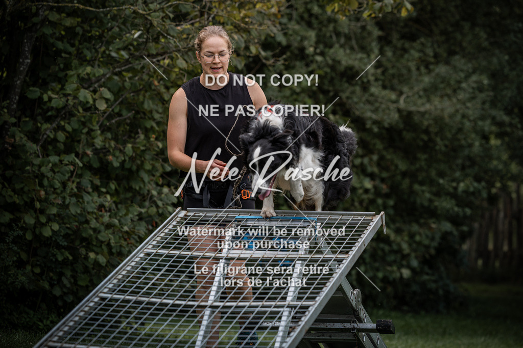 nelerasche_SoLauf_42 | nelerasche