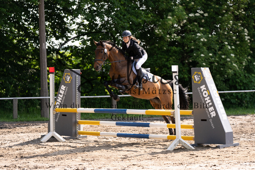 A7507309 | Turnier/Reitfotograf