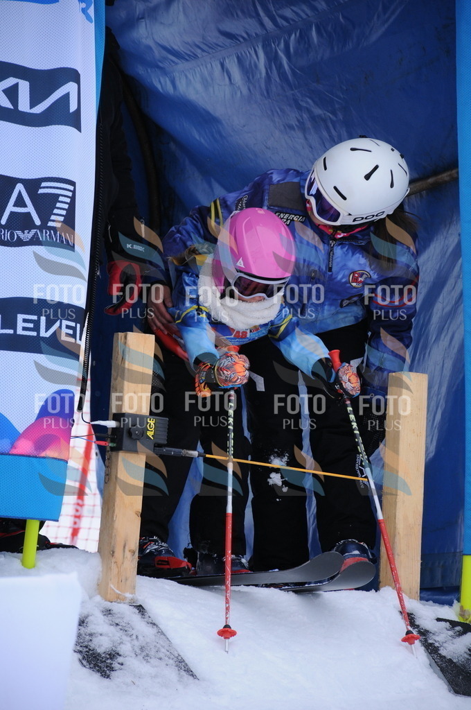 DSC_7783 | holidayphoto