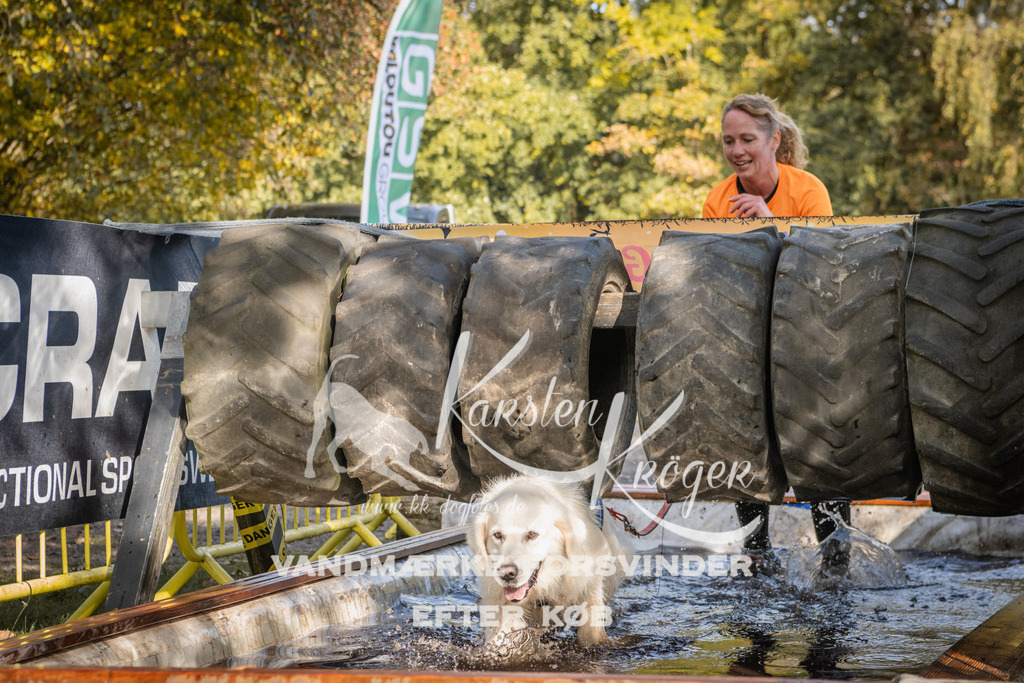 1146_ZZ93431 | kk-dogfotos