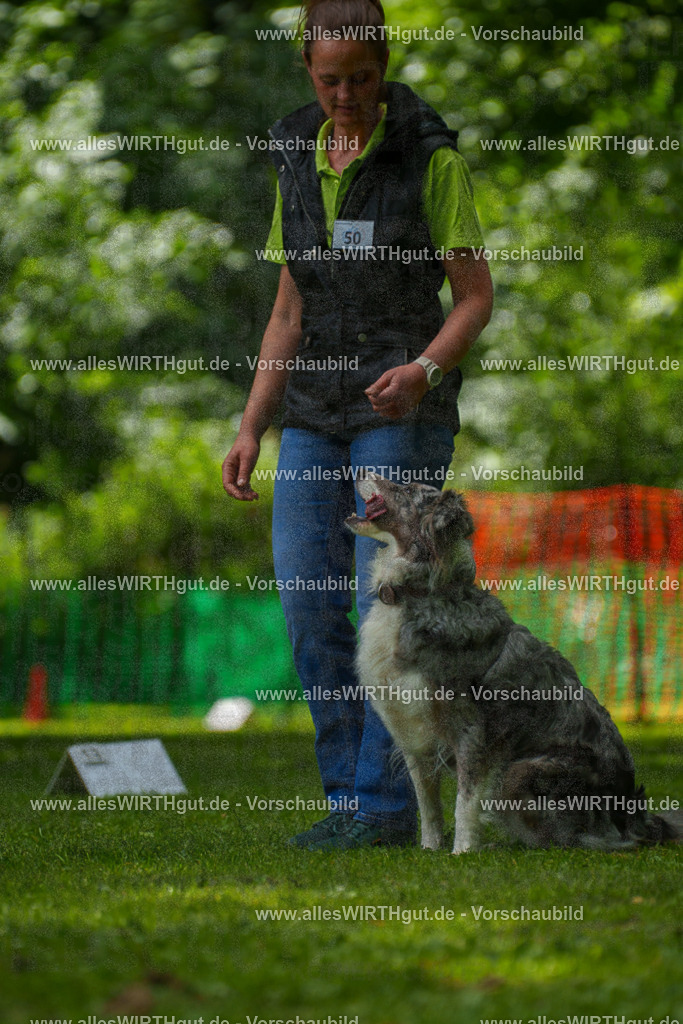 @allesWIRTHgut_Tierfotografie - www.allesWIRTHgut.de - 7R505849 | Professionelle Tierfotografie in Mönchengladbach von Daniel Wirth (allesWIRTHgut). Liebevolle & natürliche Bilder von Hunden & Katzen für unvergessliche Erinnerungen.