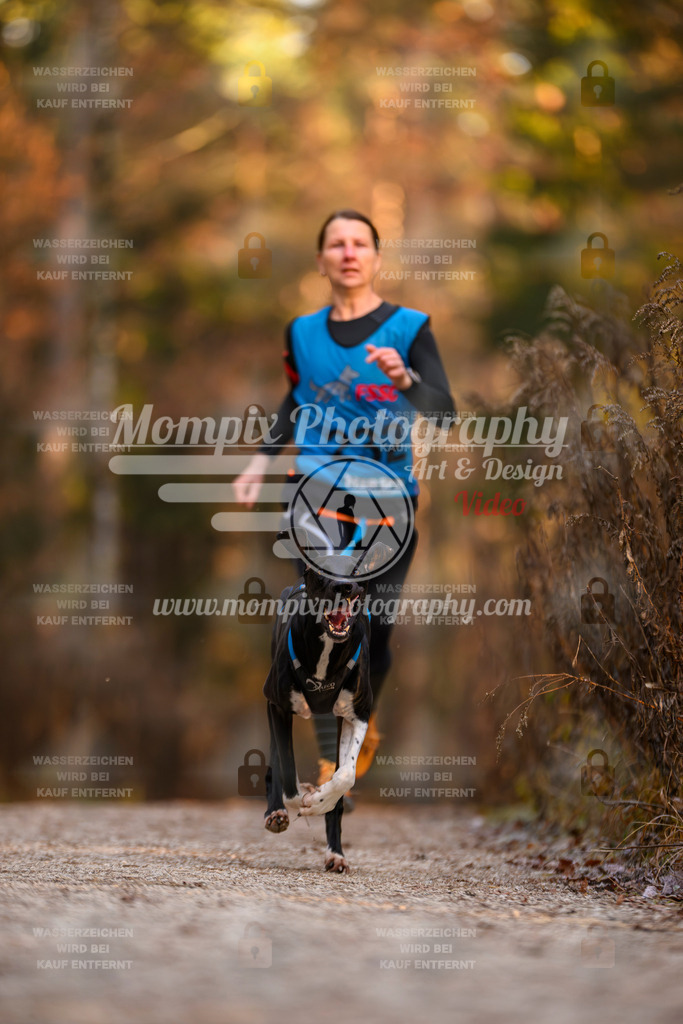 MompixPhotography_DM_AKDM_SO_2025_-47 | PayLife