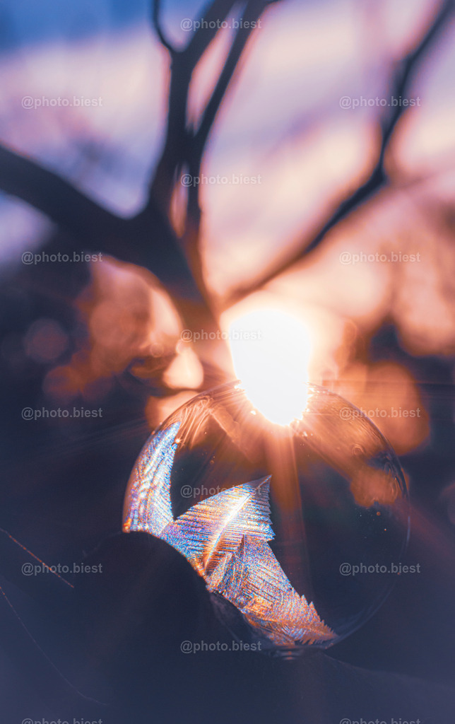 IMGC7735 | photobiest - Realisiert mit Pictrs.com
