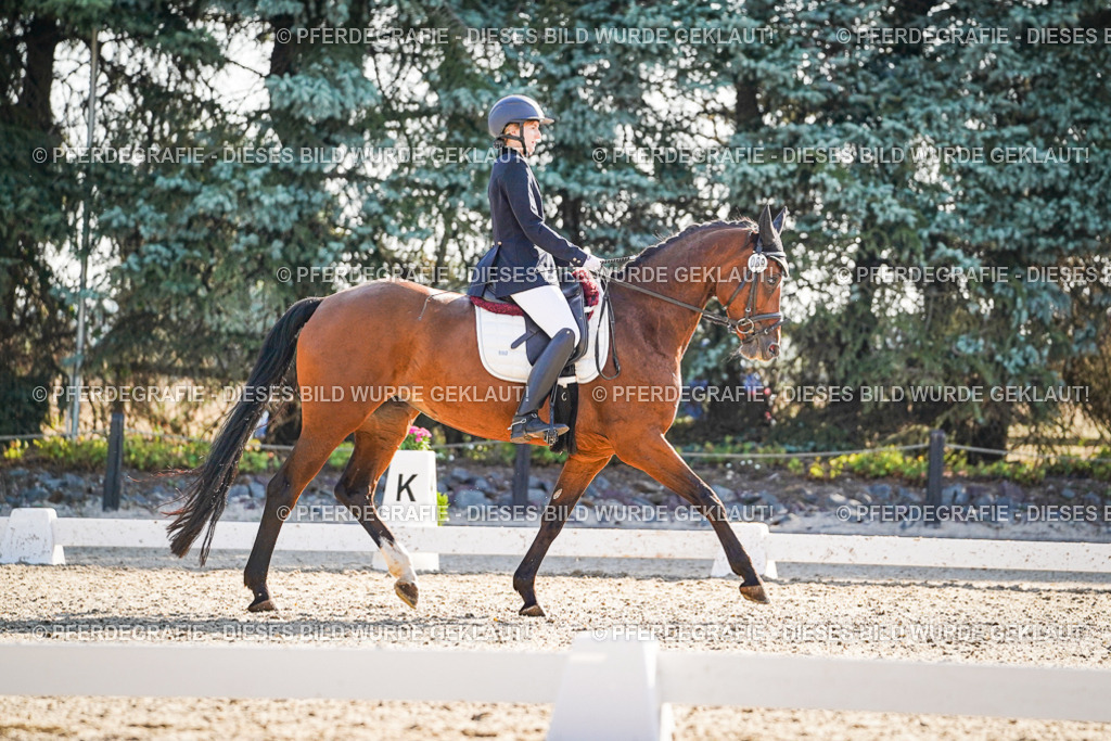 DSC09170 | Pferdegrafie