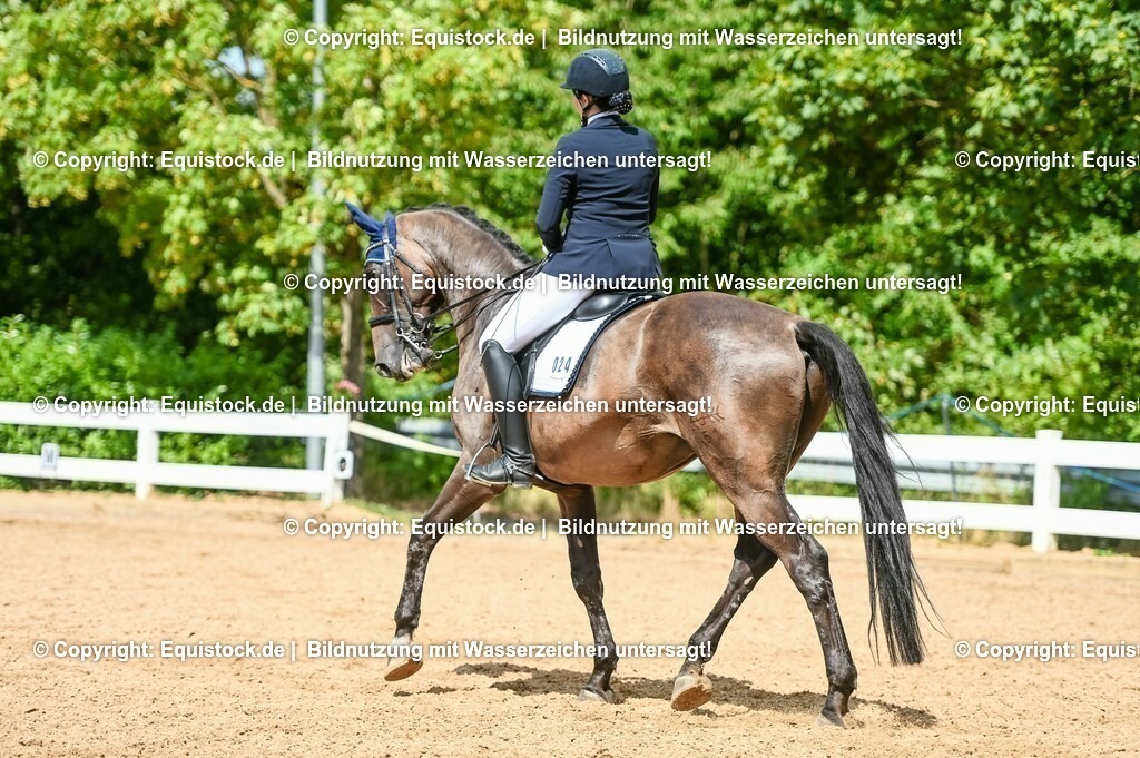 20230716_01_Dressurprüfung Kl.M_0286 | equistock