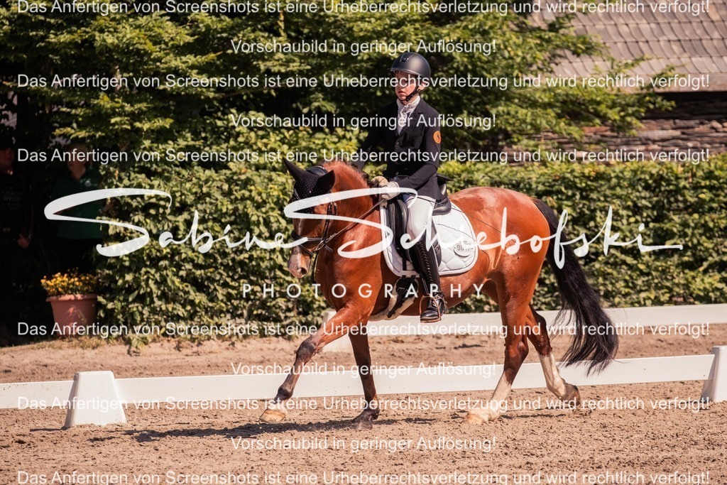 2025_05_31_DSCF3080 | People- und Tierfotografie, Imageaufnahmen, Veranstaltungsfotografie und Wandbilder aus der Natur ★ Made in Germany ✔️ Druck + Downloads ✔️ Naturfotografie in Top Qualität ★ schneller Versand, weltweite Lieferung! - Realisiert mit Pictrs.com