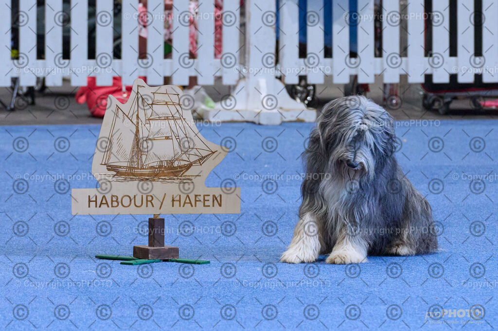 202406_ÖKV-IHA-Tulln24_DSC_5299 | proPHOTO - Realisiert mit Pictrs.com