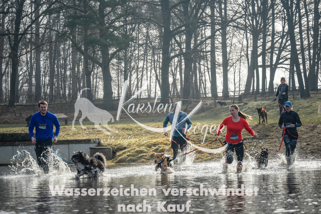 0946_ZZ93532 | kk-dogfotos