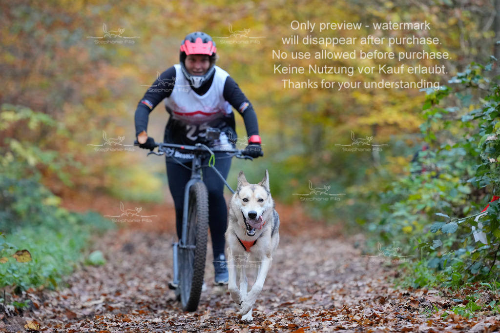 Scooter_So-45 | stephaniefillaphotographie - Realisiert mit Pictrs.com