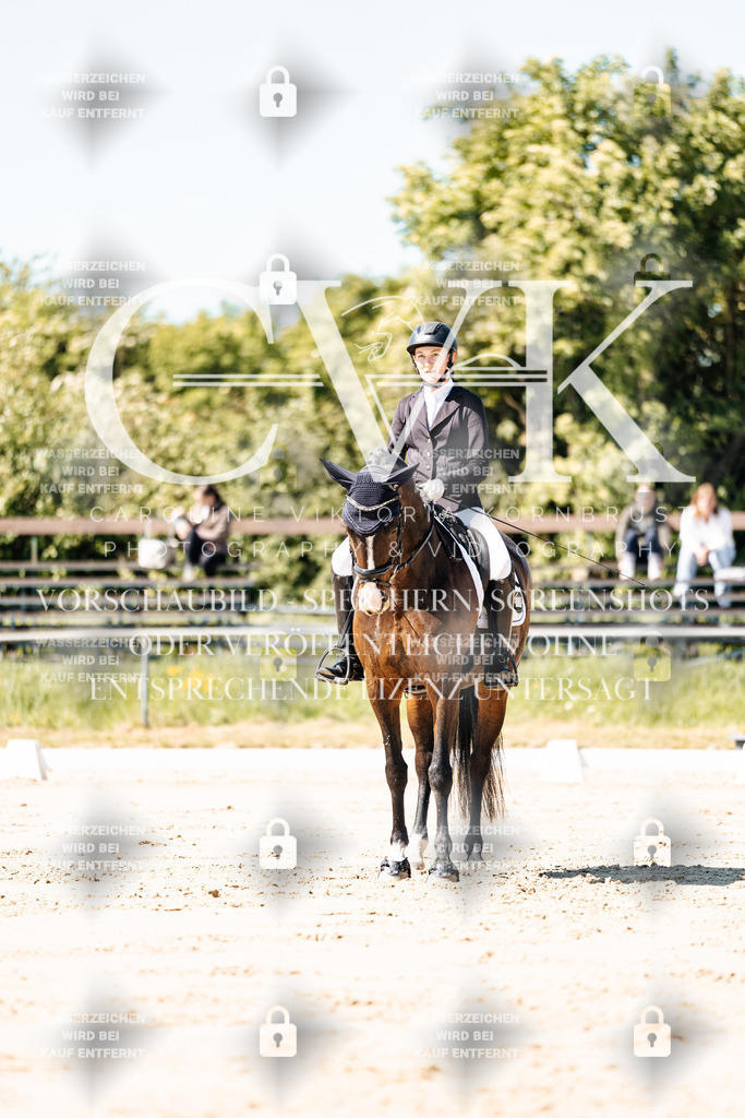 CK905106 | Turnierfotografie Pferdefotografie Trier Rheinland-Pfalz Pferdesport Reitsport Tierfotografie Sportfotografie Pferdevideo Pferdevideografie Equestrianvideography equestrianphotography  - Realisiert mit Pictrs.com