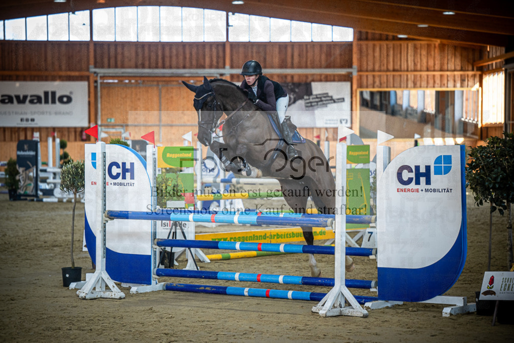 DOS_1293 | Entdecke hochwertige Reitturnierfotos von Foto Oger. Professionell, emotional und authentisch – jetzt Lieblingsmomente im Shop bestellen.Deutschlandweite Turnierfotografie. - Realisiert mit Pictrs.com