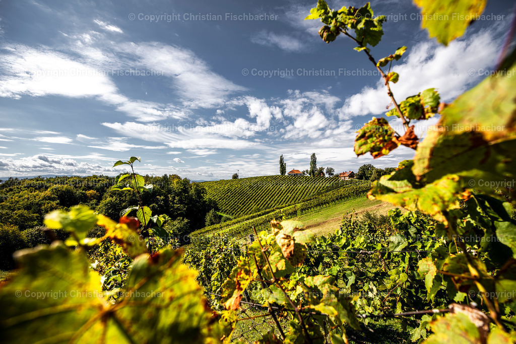 Fotos_Copyright_Chri_Fischbacher_Druck-414 | Bildershop Chri Fischbacher - Realisiert mit Pictrs.com