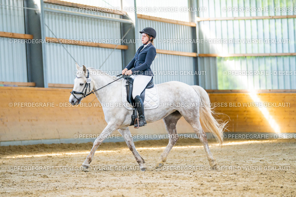 DSC06982 | Pferdegrafie