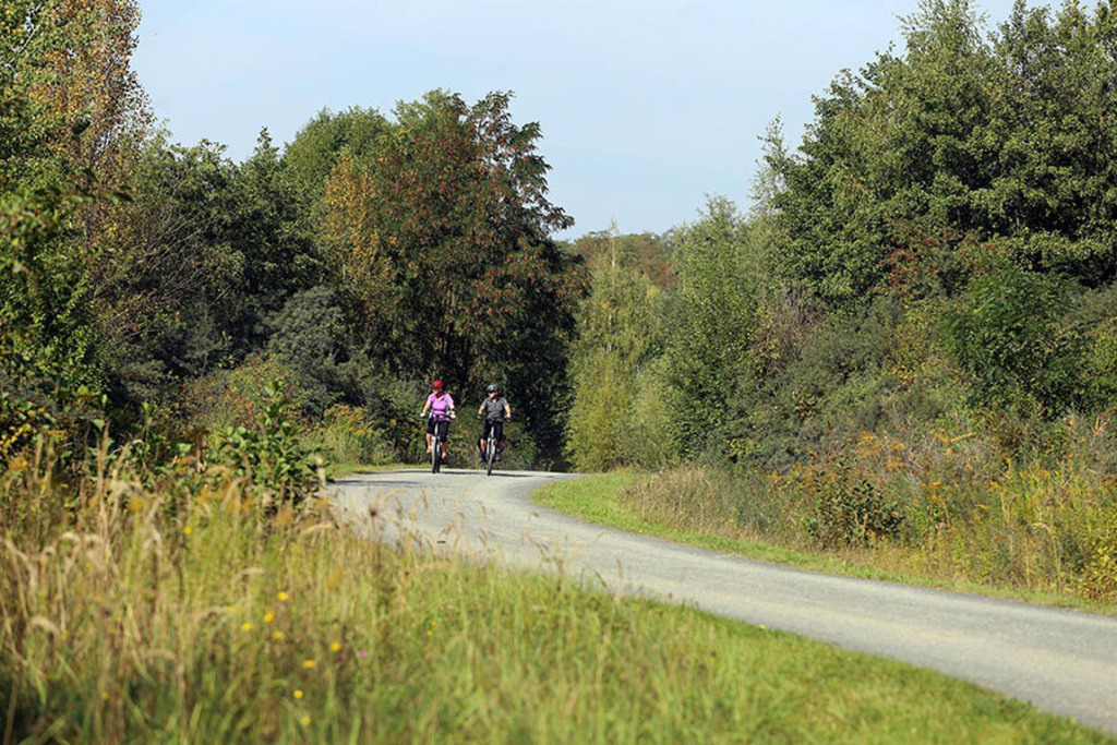 Foto: Leipzig - Markkleeberger See - Unterer Uferweg | Das Team hinter BILDLEXIKON LEIPZIG bündelt historische wie aktuelle Informationen über die Stadt Leipzig in Text und Bild auf einer Plattform und stellt diese der interessierten Öffentlichkeit zur Verfügung.