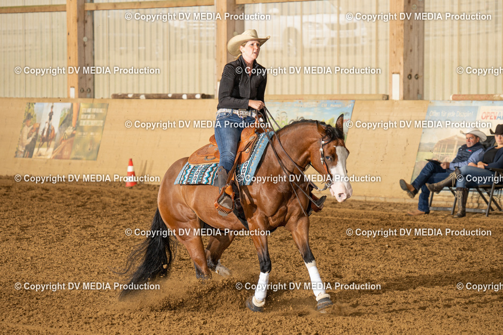 LAU01354 | dv-media-shop - Realisiert mit Pictrs.com