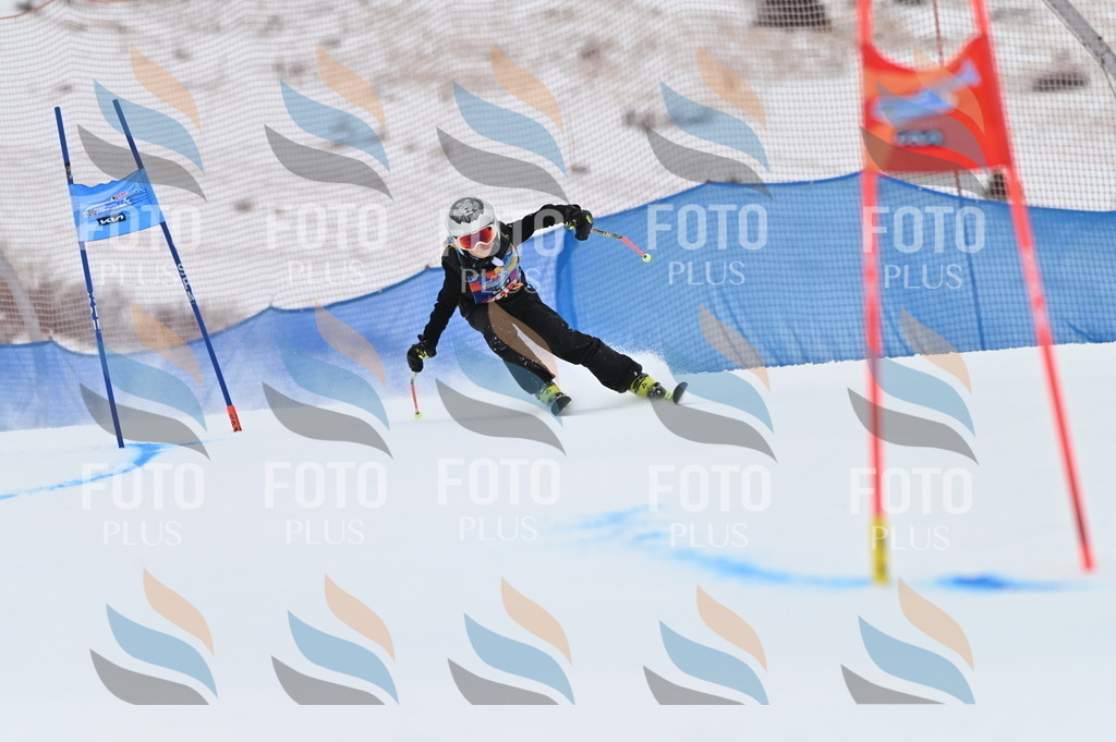 BGV_9649 | holidayphoto