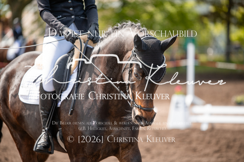 DSC_3892 | Christina-Kleuver