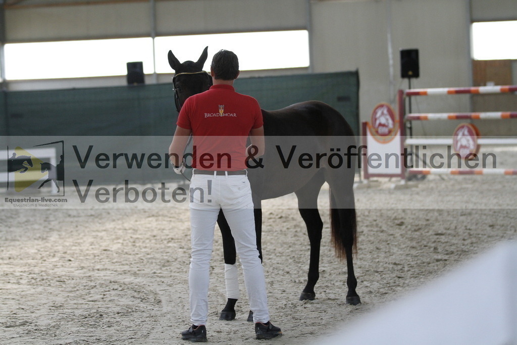 _MG_9382 | equestrian-live-com