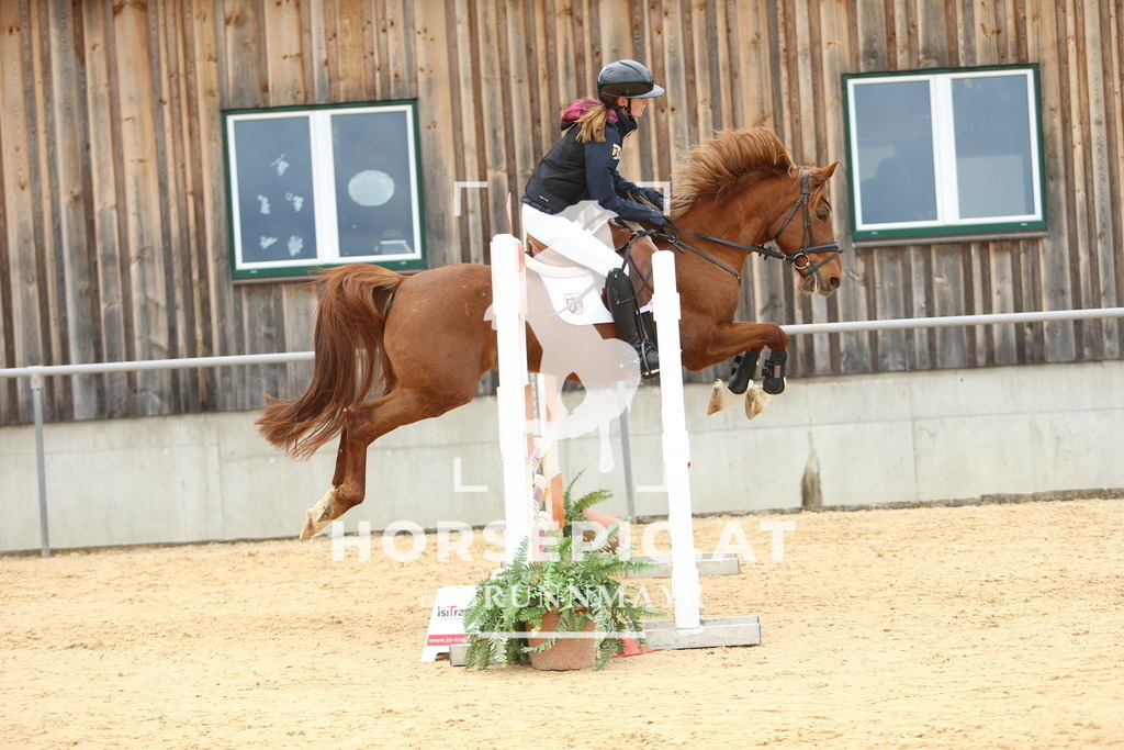 DL2Q1673 | Willkommen bei Brunnmayr - Design & Fotografie – Ihrem Spezialisten für Reitturniere und Pferdeveranstaltungen in Oberösterreich, Salzburg und Bayern! Seit über 17 Jahren sind wir leidenschaftlich dabei.