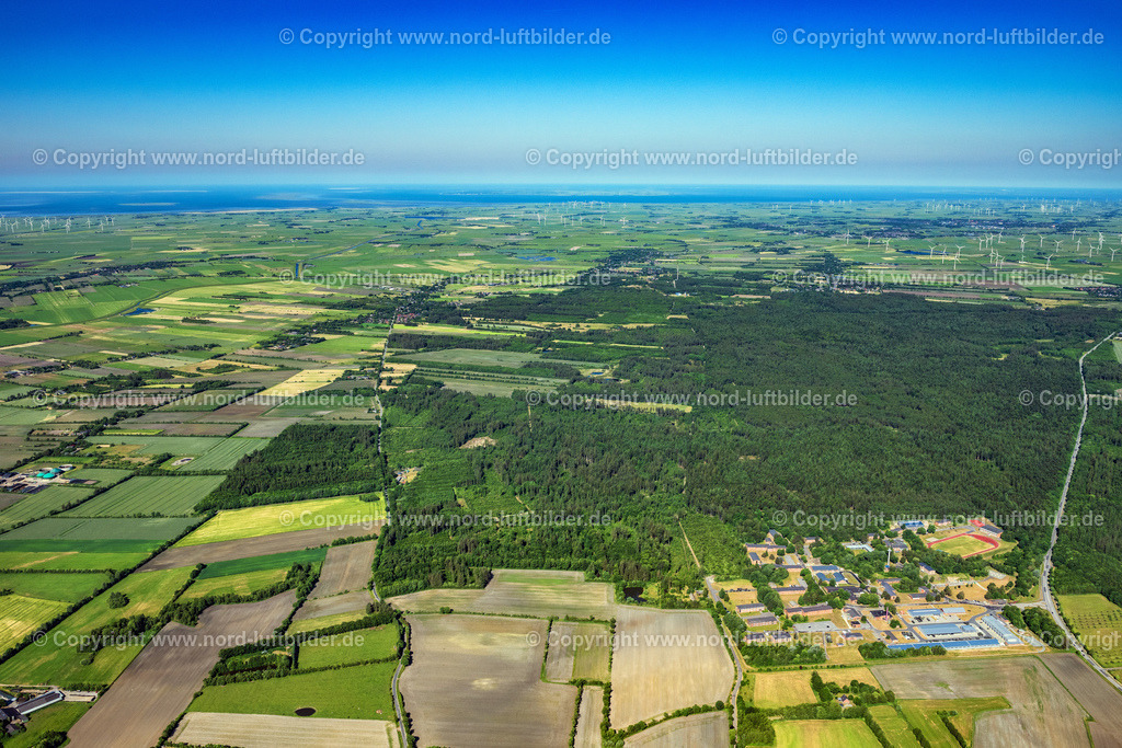 Langenberger_Forst_ELS_8186100623 | STADUM 10.06.2023 Forstgebiete in einem Waldgebiet in Stadum im Bundesland Schleswig-Holstein, Deutschland. // Forest areas in in Stadum in the state Schleswig-Holstein, Germany. Foto: Martin Elsen