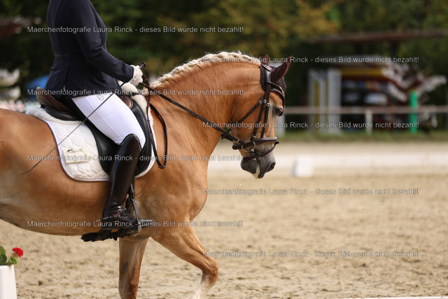 HG9A1492 | laurarinckfotografie - Realisiert mit Pictrs.com