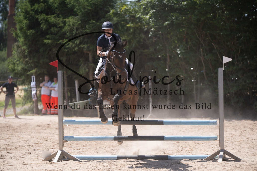 A7V08553 | Pferdefotograf