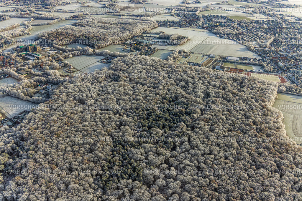 Hamm221203236 | Luftbild, Winterliche Waldlandschaft Pilsholz, HSC Sportzentrum, Mitte, Hamm, Ruhrgebiet, Nordrhein-Westfalen, Deutschland