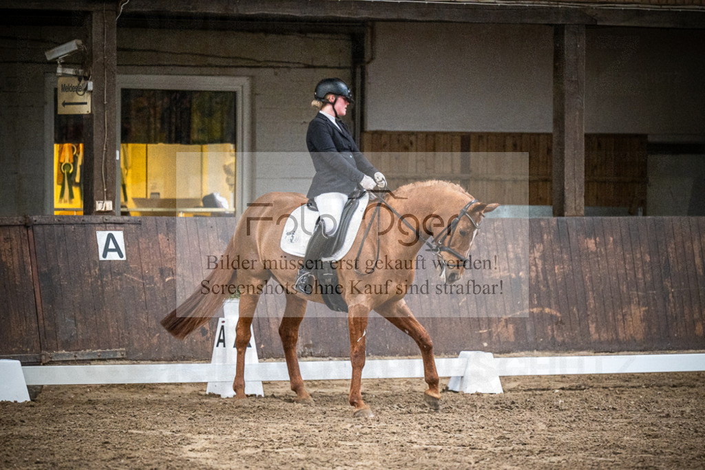 DOS_0608 | Entdecke hochwertige Reitturnierfotos von Foto Oger. Professionell, emotional und authentisch – jetzt Lieblingsmomente im Shop bestellen.Deutschlandweite Turnierfotografie. - Realisiert mit Pictrs.com
