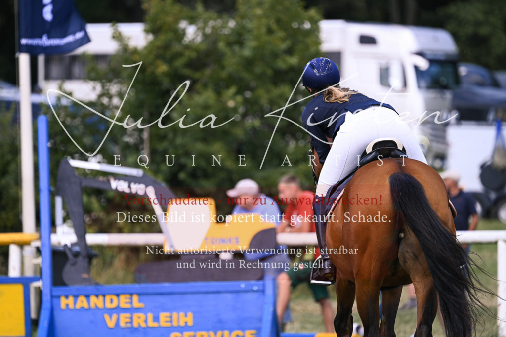 DSC_0331 | Pferde- und Turnierfotografie in Westsachsen. Pferdeportraits, Auftragszeichnungen und intuitive Kunst.