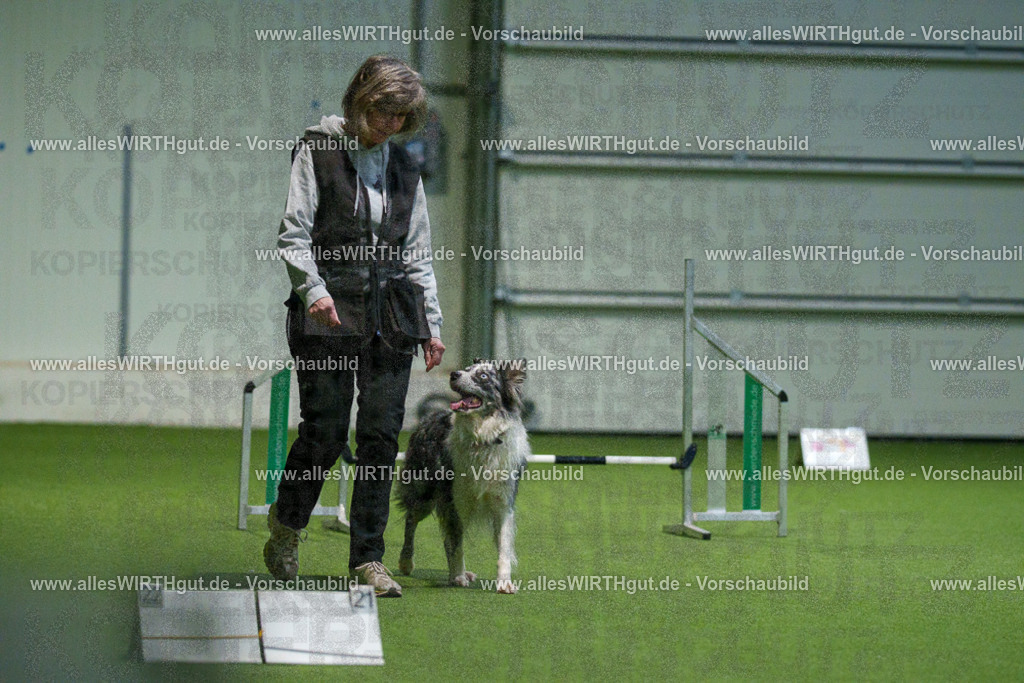 7R504467 | Professionelle Tierfotografie in Mönchengladbach von Daniel Wirth (allesWIRTHgut). Liebevolle & natürliche Bilder von Hunden & Katzen für unvergessliche Erinnerungen.