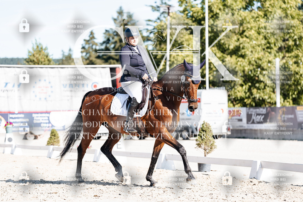 CK908020 | Turnierfotografie Pferdefotografie Trier Rheinland-Pfalz Pferdesport Reitsport Tierfotografie Sportfotografie Pferdevideo Pferdevideografie Equestrianvideography equestrianphotography  - Realisiert mit Pictrs.com