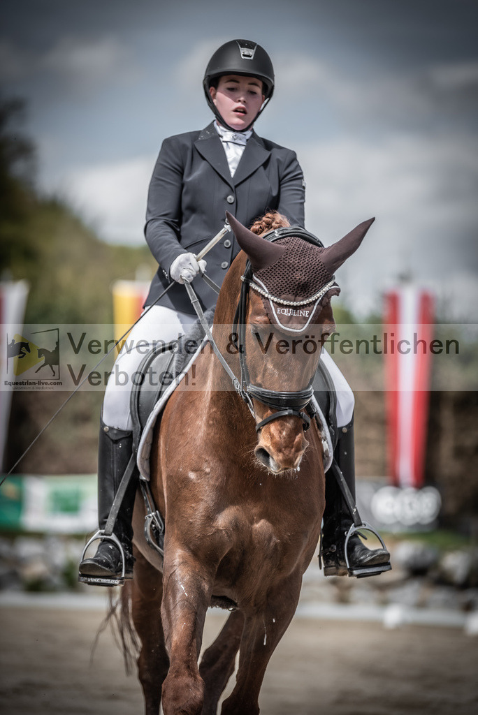 DSC_2929 | equestrian-live-com