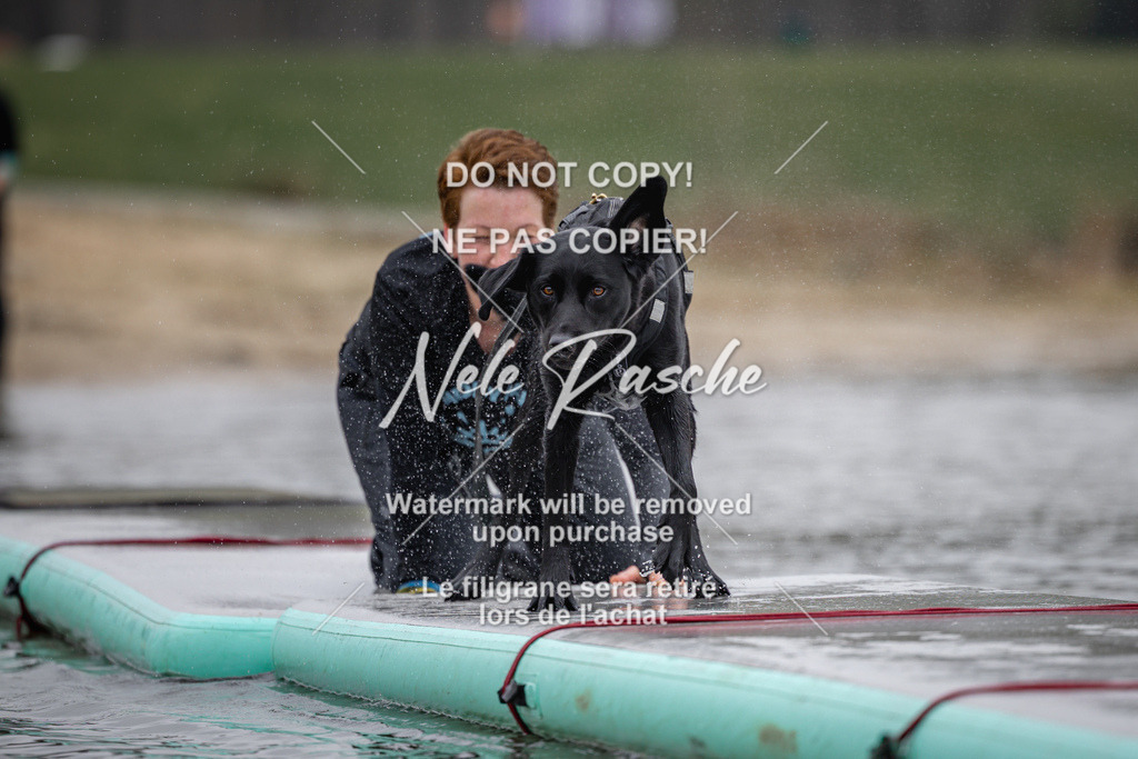 nelerasche_Hulsbeek_Sa1230-1330_444 | nelerasche