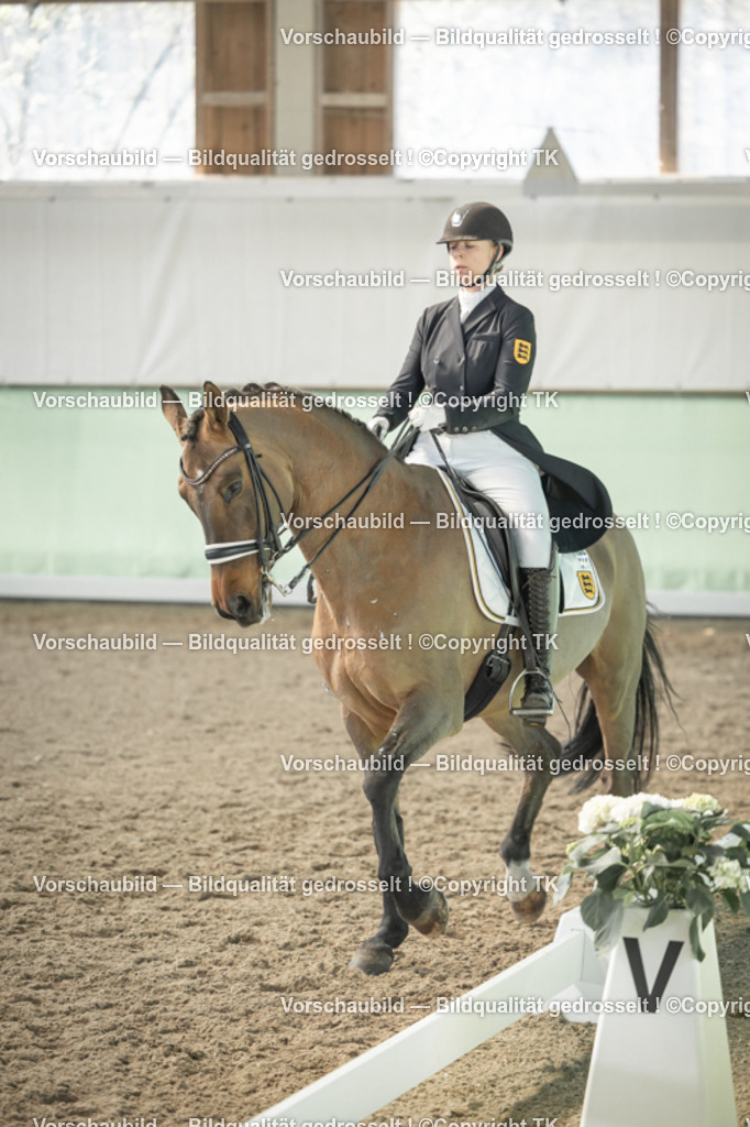 _D5A2289 | Emotionale Pferde- & People-Fotografie rund um Heidelberg, Leimen & Umgebung. Natürliche Fotos von Pferd, Mensch & Familie. Jetzt Termin sichern!