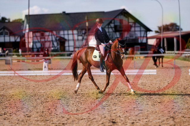 2026_10_03_Siefer-Hof_132725_Z81_81610302 | Professionelle Reitsport-, Turnier- und Eventfotografie von Robert Broda. Galerien mit ausgewählten und bearbeiteten Bildern direkt online ansehen und bestellen.