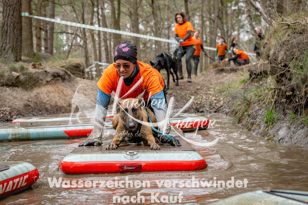 1238DSC_7382-2 | kk-dogfotos