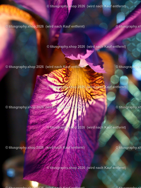 titusgraphy_P6147507-vz-ln | OLYMPUS DIGITAL CAMERA - Realisiert mit Pictrs.com