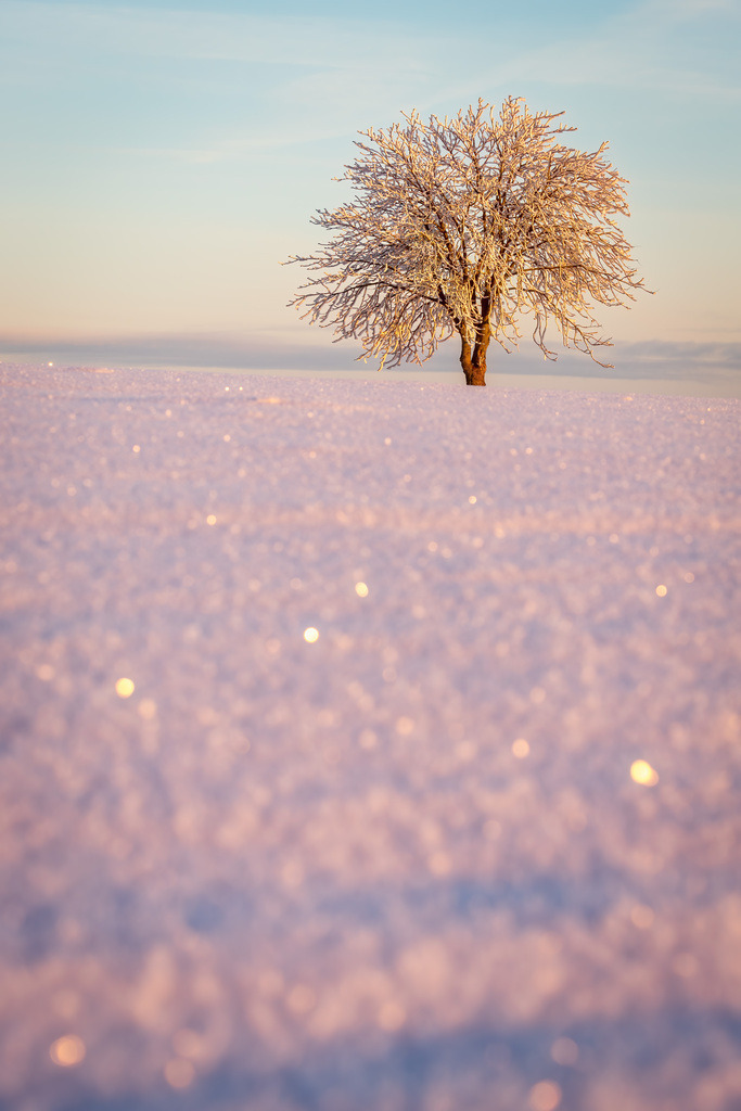 Deutschland Oederan 02 | christophschaarschmidt - Realisiert mit Pictrs.com