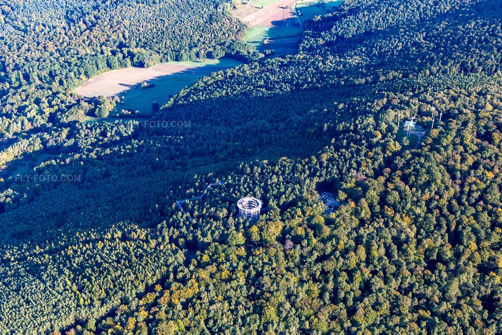 Aerial view: Treetop Walkway Alsace in Cleebourg in the state Bas-Rhin, France. – Photo: IMG_138944.jpg taken on 09/24/2023 by Werner Riehm/FLY-FOTO.com – Resolution of the original: 5114 x 3409 px – den Baumwipfelpfaden der Erlebnis Akademie AG!