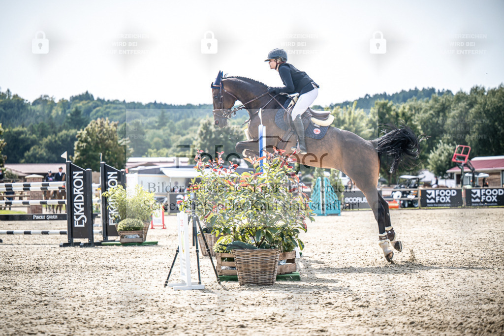 DOS_8291 | Entdecke hochwertige Reitturnierfotos von Foto Oger. Professionell, emotional und authentisch – jetzt Lieblingsmomente im Shop bestellen. - Realisiert mit Pictrs.com